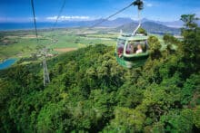 Skyrail Rainforest Cableway