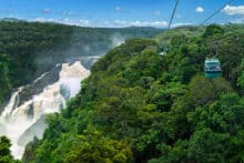 Skyrail Rainforest Cableway