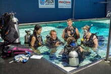 Rescue Course Swimming Pool Training Pro-Dive Cairns.