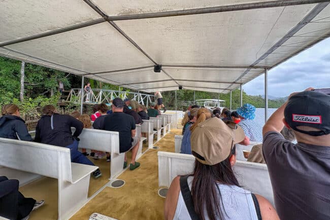 Ready to Depart the Daintree River Cruise.