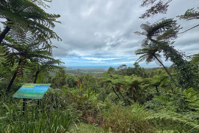 The Mount-Alexandra-Lookout.