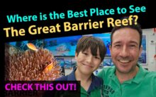 Great Barrier Reef Drive from Cairns to Port Douglas with views of coral reef and ocean – Cairns Dive Adventures