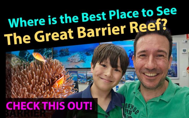 Great Barrier Reef Drive from Cairns to Port Douglas with views of coral reef and ocean – Cairns Dive Adventures