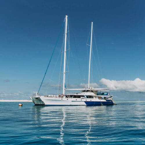 Ocean Spirit’s 32m sailing catamaran glides across the Coral Sea from Cairns to Michaelmas Cay