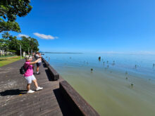 Visitors photographing the calm sea from the Cairns Esplanade boardwalk on a sunny morning.