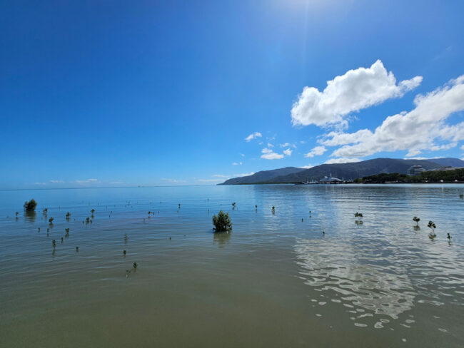 Calm tropical morning view from the Cairns Esplanade waterfront, looking toward the mountains and marina.