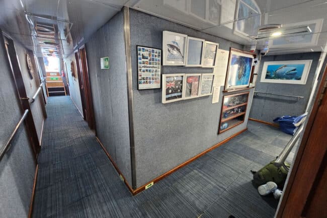 OceanQuest interior corridor displaying dive posters and marine photography.