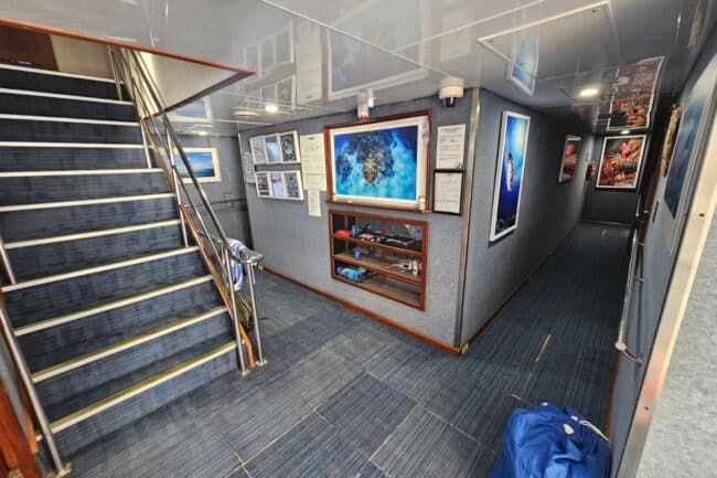 Lower-deck hallway aboard OceanQuest featuring marine artwork and photos.