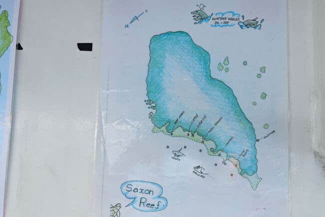 Hand-drawn Saxon Reef dive-site map used during OceanQuest briefings.