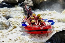 Group tackling a rapid in a red raft on the Barron River during a half-day white water rafting tour in Cairns.