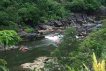 Multiple rafts paddling through calm and rapid sections of the Barron River near Cairns.