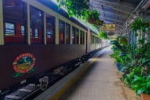 Kuranda Scenic Railway carriages waiting at Freshwater Train Station surrounded by tropical plants