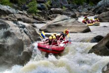 Rafters paddling down a gentle section of the Barron River with rainforest in the background.