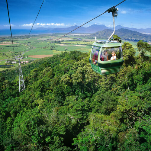 Skyrail gondola gliding above lush rainforest near Cairns on the Kuranda Day Tour