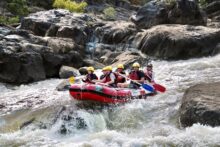 A rafting team paddling through a rocky rapid on the Barron River during a half-day white-water rafting adventure in Cairns.