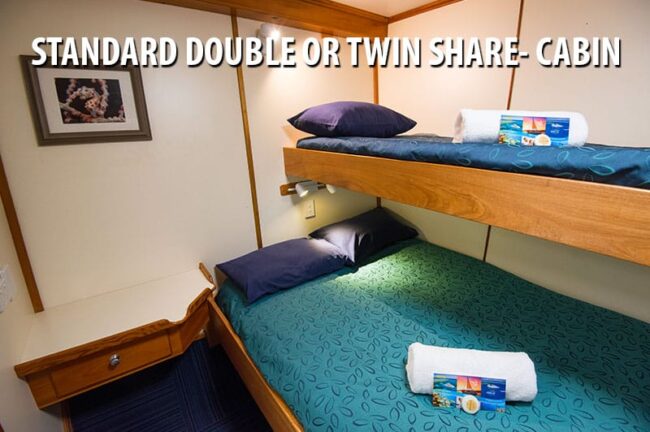 Standard double or twin share cabin onboard Spirit of Freedom liveaboard