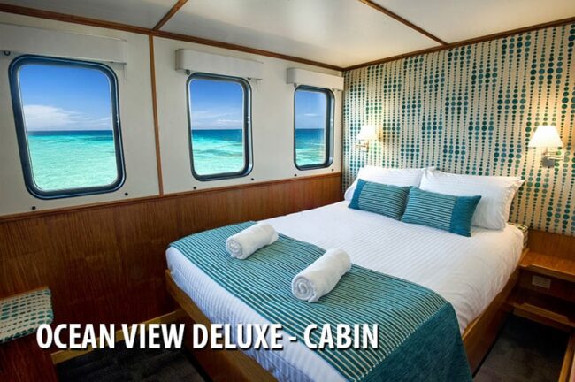 Ocean view deluxe cabin with large windows onboard Spirit of Freedom liveaboard