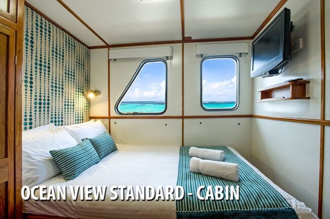 Ocean view standard cabin with double bed onboard Spirit of Freedom