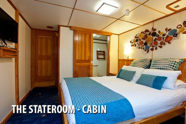 Luxury stateroom cabin with private bathroom onboard Spirit of Freedom