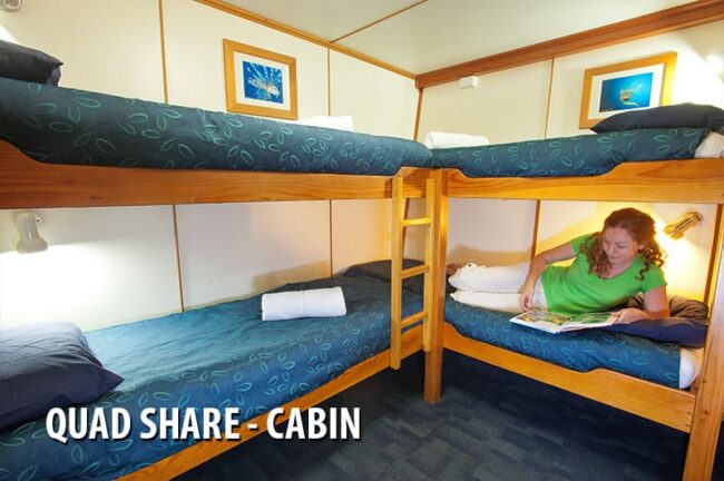 Quad share bunk cabin onboard Spirit of Freedom dive liveaboard
