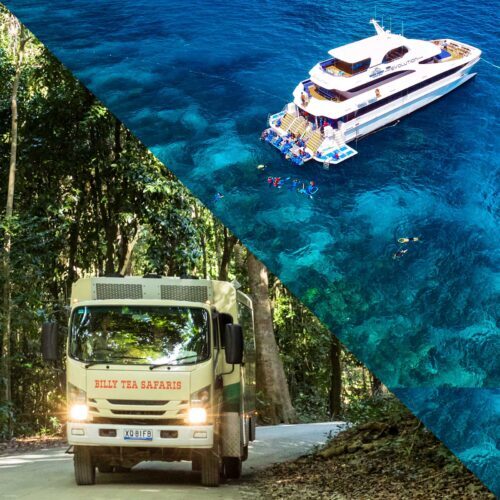 Great Barrier Reef snorkelling boat Evolution and Daintree Rainforest 4WD tour with Billy Tea Safaris Cairns