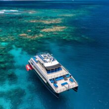 Calypso Dive Snorkel Boat Port Douglas