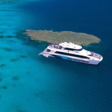barrier reef tours out of cairns