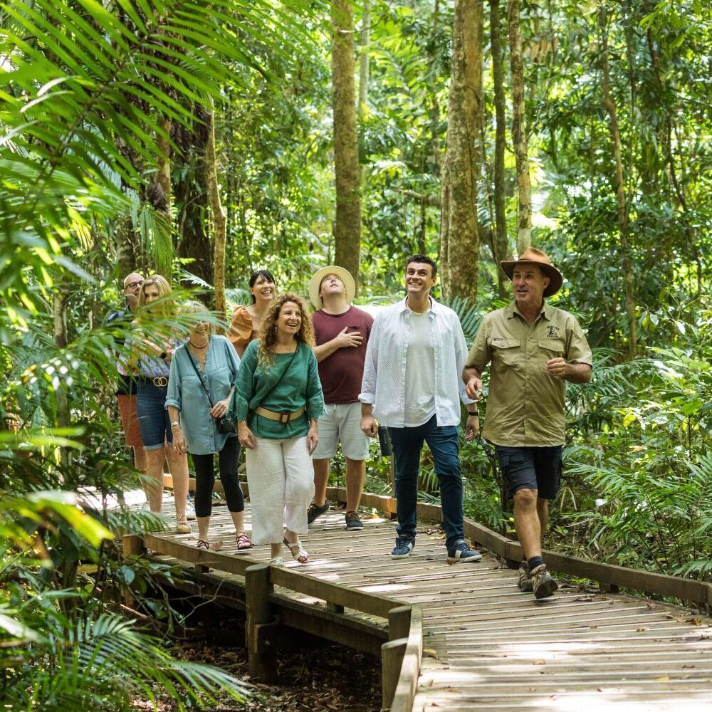 Daintree Rainforest Boardwalk