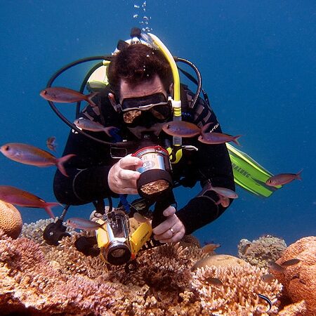 Hovering above Steve's Bommie trying to get the anemonefish