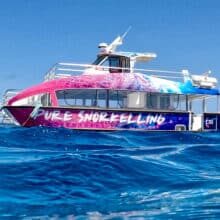 Pure Snorkel Boat Cairns.