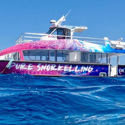 Pure Snorkel Boat Cairns.