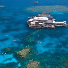 Aerial view of Quicksilver’s outer reef pontoon, with snorkellers swimming above coral at Agincourt Reef