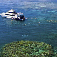 Fully inclusive Great Barrier Reef day tours with Reef Experience