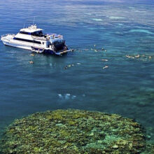 Fully inclusive Great Barrier Reef day tours with Reef Experience