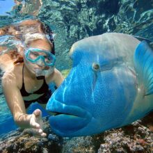 Reef Magic Outer Reef Scuba Diving