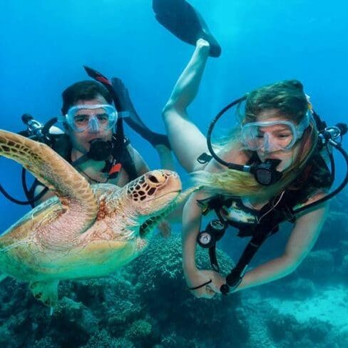 Diving with a Sea Turtle