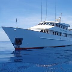 Spirit of Freedom Liveaboard Dive Boat in Cairns Australia