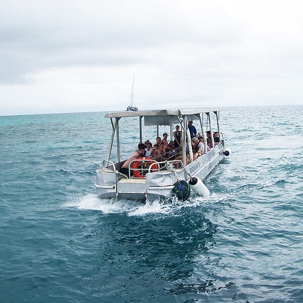Glass Bottom Boat - Great Barrier Reef
